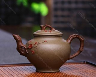 雙色報(bào)春 雙色報(bào)春