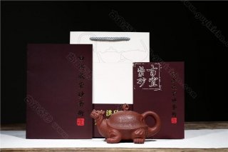 《百壽龍龜》 《百壽龍龜》