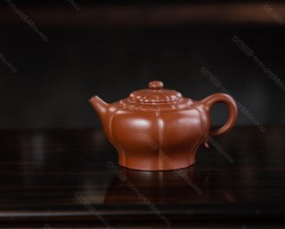 六瓣葵菱 六瓣葵菱