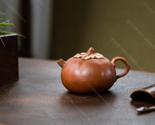 茄瓜 茄瓜