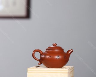 扁鼓蓮子 扁鼓蓮子