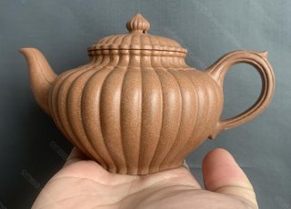 筋紋笑櫻 筋紋笑櫻