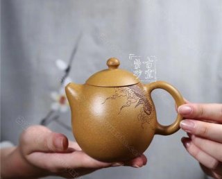 《龍蛋》 《龍蛋》