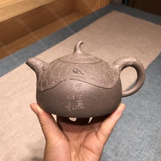 樹癭半月 樹癭半月