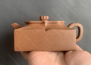 四方荷花 四方荷花